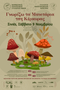 Corfu Events 365 | Events in Corfu