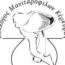 mushroom_club_219