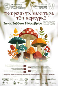 Γιορτή Μανιταριού