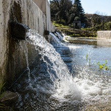 nymfes_clean_219