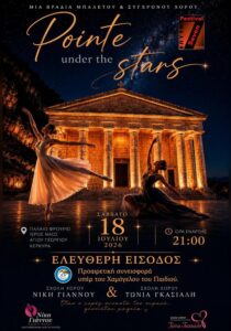pointe-under-the-stars-site-700x1000